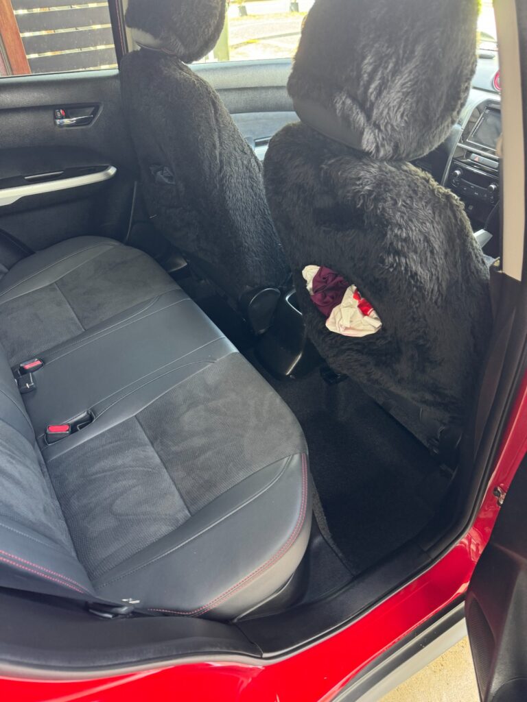 car detailing mount gravatt (5)