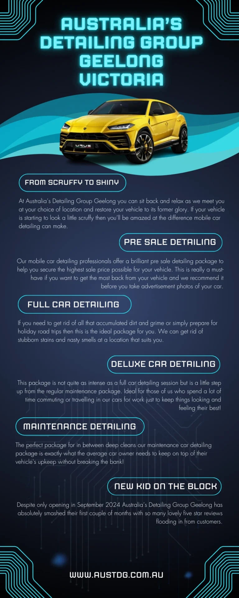 Mobile Car Detailing