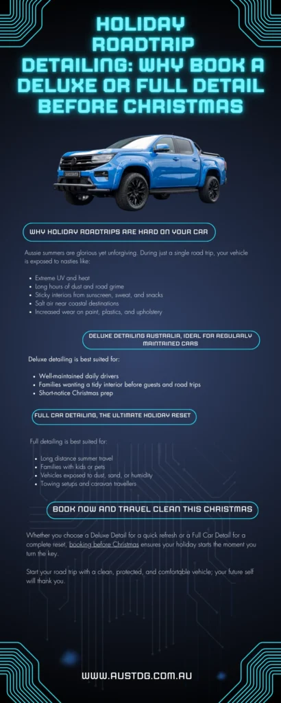 Holiday Roadtrip infographic